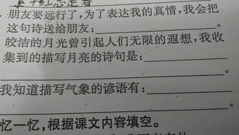 关于真心对待朋友的诗句