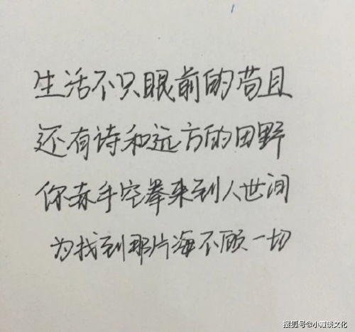 表示努力的诗句,表示努力向上的诗句,表示努力上进的诗句