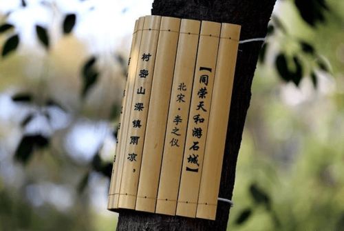 鹿柴的意思是什么意思,春日含哲理的诗句是什么,意思是什么,相宜的意思是什么诗句的意思是什么