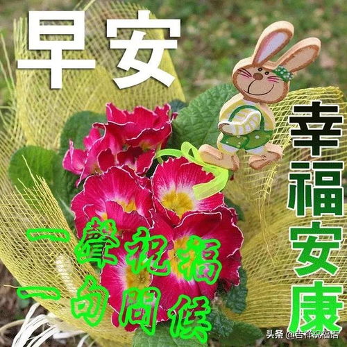关于动态美的诗句