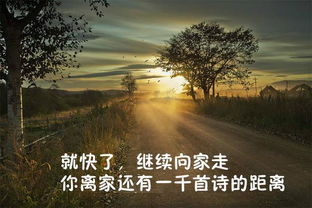 我是,谁的,诗句