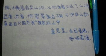 古诗句的意思是什么意思是什么