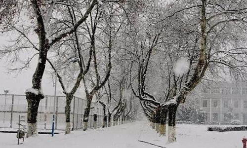 赞美冬天的雪景的诗句古诗