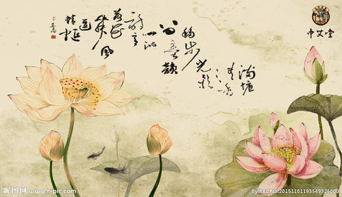 关于莲花和鱼的诗句