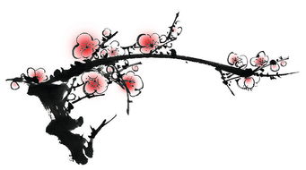 关于梅花诗句儿的