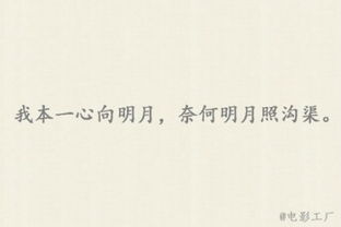 关于不要你了的诗句