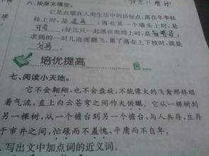 运用对比手法的古诗句有哪些,运用了对比手法的古诗句子,运用对比手法的写景古诗
