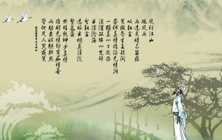 自己的,诗句,反思