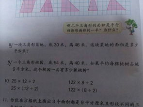 关于夏天的诗句自创句,描写夏天的诗句古诗句,夏天的诗句有多少句
