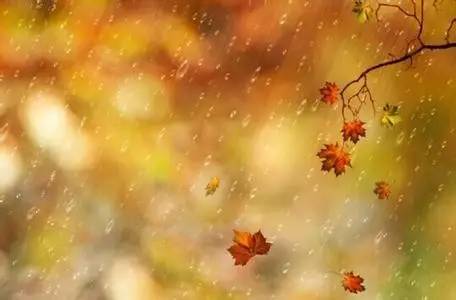 关于秋雨声的诗句古诗