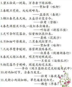 诗句,积累,厨房,材料
