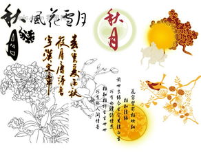 诗句,中秋节,红酒