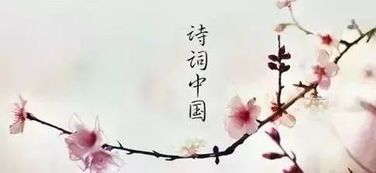 中有,古诗,诗句