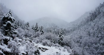 诗句,大雪,赞美