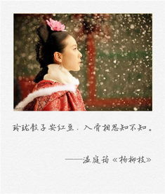 一句关于古人传信的诗句