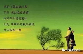 古诗,心烦,句子