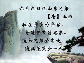 诗句,有名,大全,于月