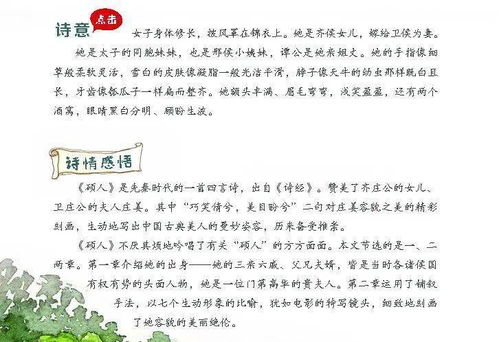 关于诗句理解的作文