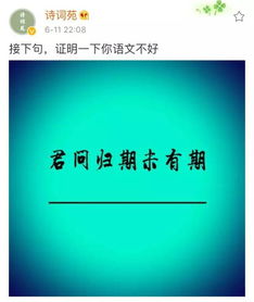 关于吸引粉丝的诗句