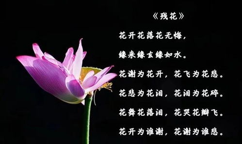 关于残花的古诗句