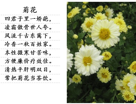 诗句,美满,爱情