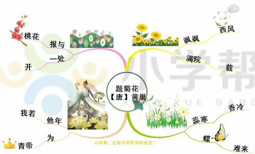 小学写菊花的诗句古诗大全