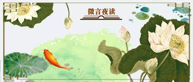 古诗,诗句,飞鸟,描写