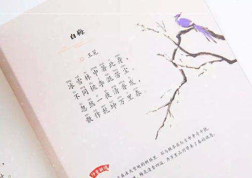 古诗词中有红字的诗句