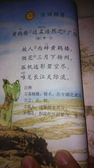 关于读书的古诗句及意思是什么意思