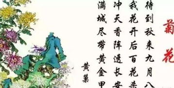 古诗词,诗句,中药,名字