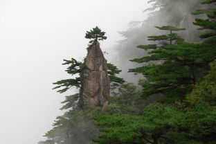 黄山,诗句,最有名