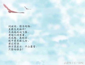 诗句,形容