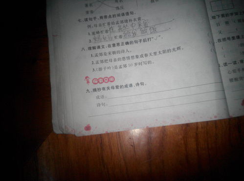 关于母亲的谚语或诗句