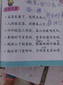 古诗词,诗句,赞美,春天