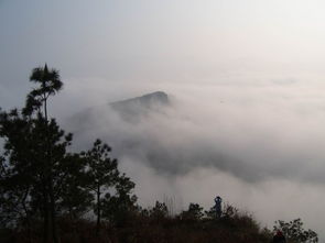 诗句,登山,春节