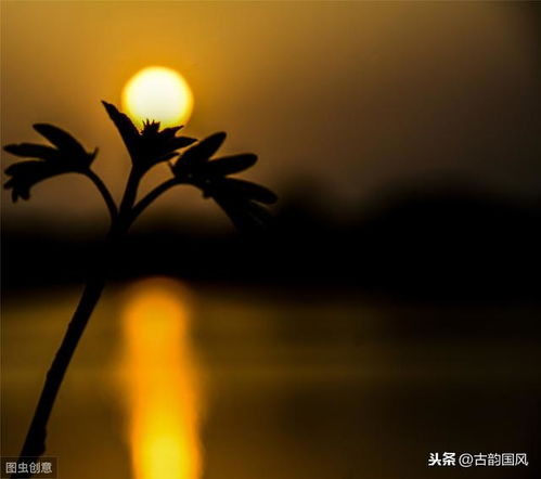 关于思乡的诗句和名言,关于思乡的名言不要诗句,思乡的名言名句和诗句