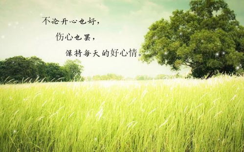 描写夏天心情好的诗句,夏天心情好的诗句唯美意境,早上心情好的诗句夏天