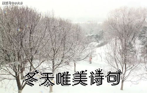 关于冬天的诗句带解释