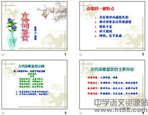 中考重点古诗句鉴赏