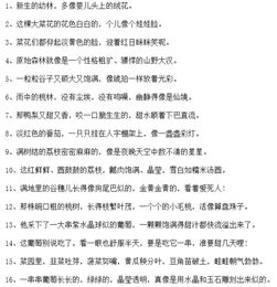 有关于描写植物的诗句有哪些