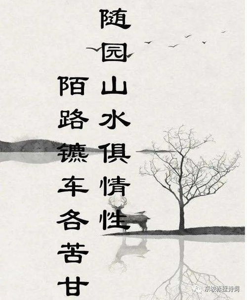 关于捡的诗句