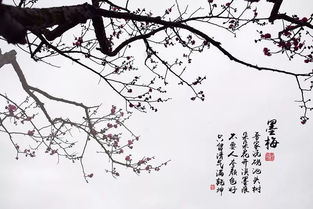 诗句,古代,墨梅