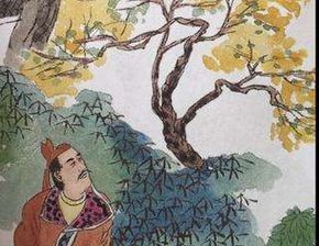 关于雨有意思的诗句