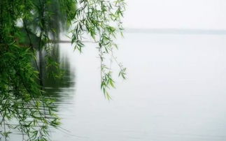 柳暗花明的古诗句