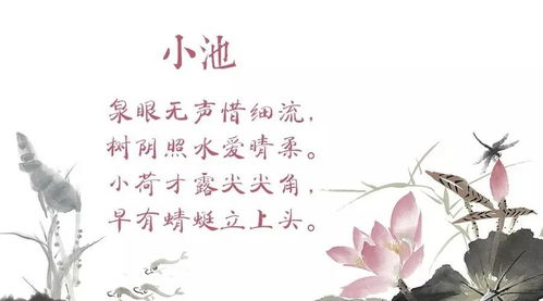 关于水的诗句小池