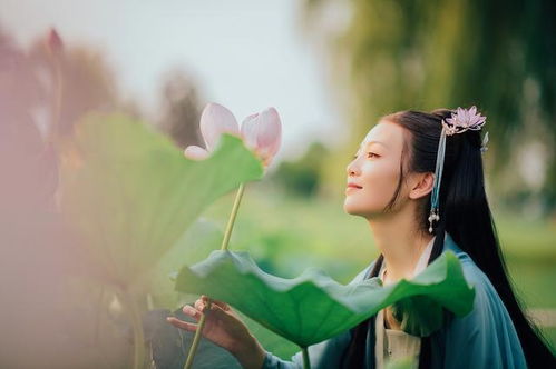 古诗采莲曲的诗句意思