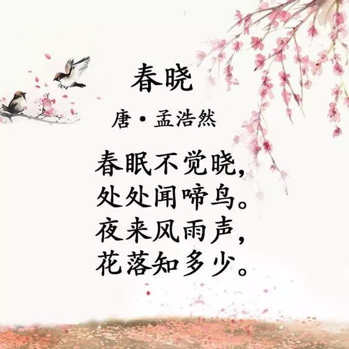 古诗,诗句,描写,优美