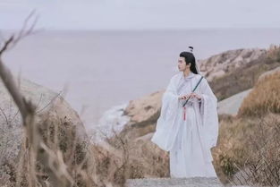 夸赞女生漂亮的古诗句