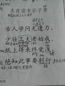 关于转化的诗句