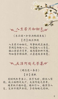 回味无穷的古诗句